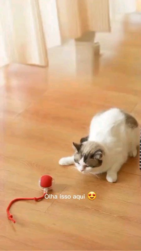 ✨ Seu pet vai se apaixonar nesse brinquedo 😍🐶🐱 Diversão garantida e pet feliz! 🛒 Coloque no carrinho agora #petviral #petfeliz #achadinhopet #shop