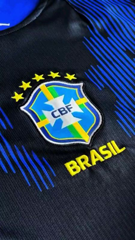 camisa do Brasil masculina Bordada modelo 2026, de ótima qualidade!!
